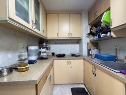 Emerald Park (D3), Condominium #580809851